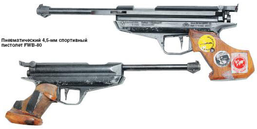 Типы пневматических винтовок и какую выбрать для охоты?